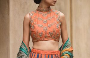 a indian beautiful women in crop top blouse for lehenga